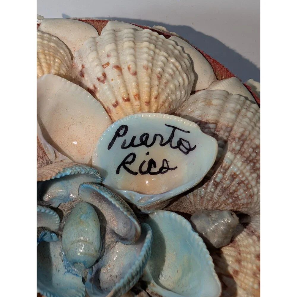 Vintage Puerto Rico Real Seashell Trinket Box Souvenir Handmade Coastal Shells